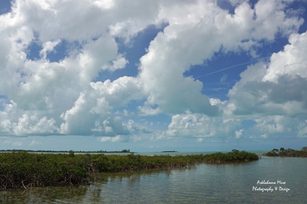 Bonefish Sky